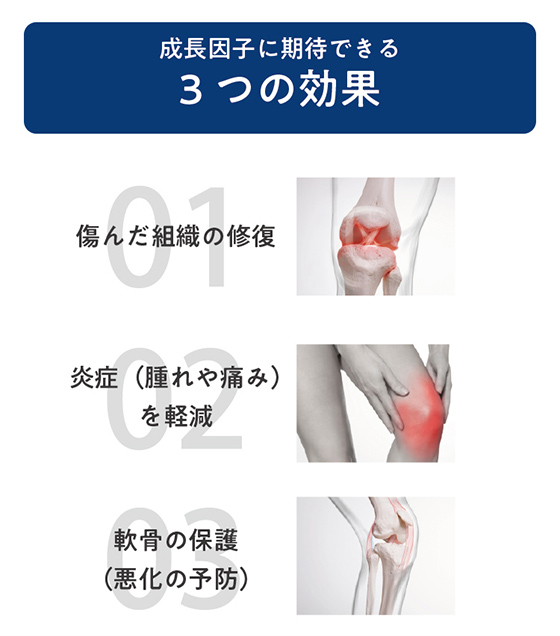 成長因子に期待できる3つの効果